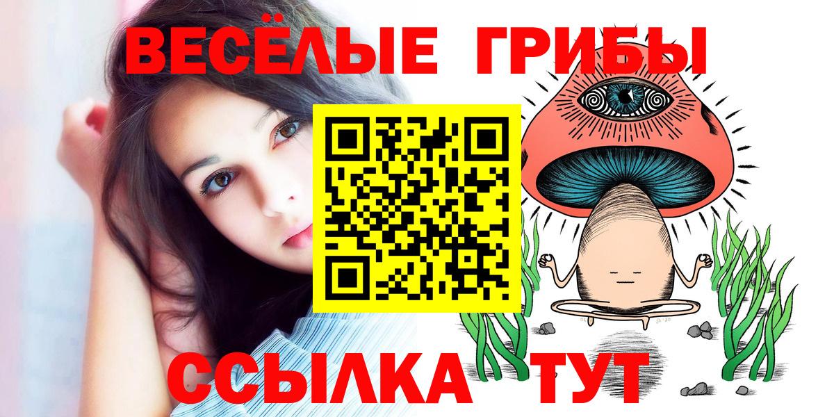 цены   Галлюциногенные грибы мицелий  Сургут  Псилоцибиновые грибы мицелий 